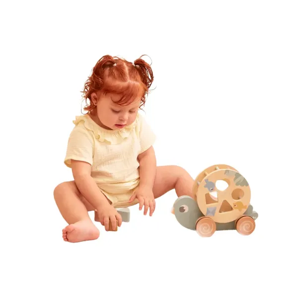 Passarinho De Encaixe Educativo De Passear Cloudy Buba