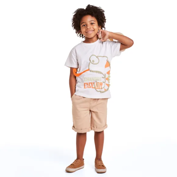 Camiseta Manga Curta Camaleão Malha Flamê Kids Tip Top