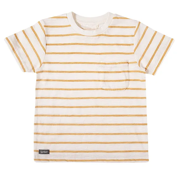 Camiseta Manga Curta Listrada Malha Flamê Kids Tip Top