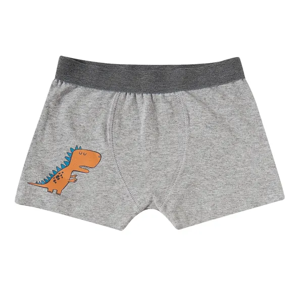 Kit 2 Cuecas Boxer Dino Suedine Kids Tip Top