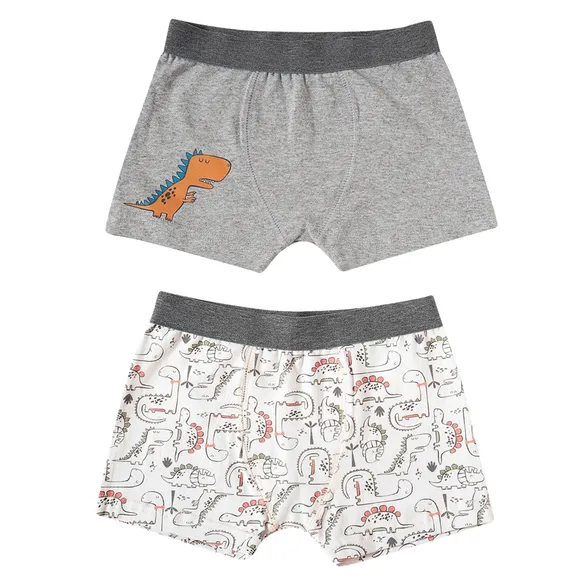 Kit 2 Cuecas Boxer Dino Suedine Kids Tip Top