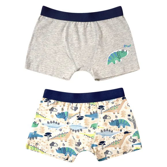 Kit 2 Cuecas Box Dino Cotton Kids Tip Top