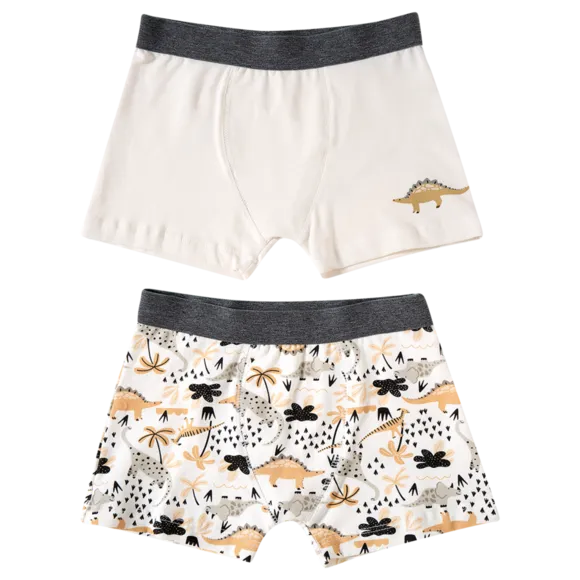 Kit 2 Cuecas Box Dino Cotton Liso Kids Tip Top